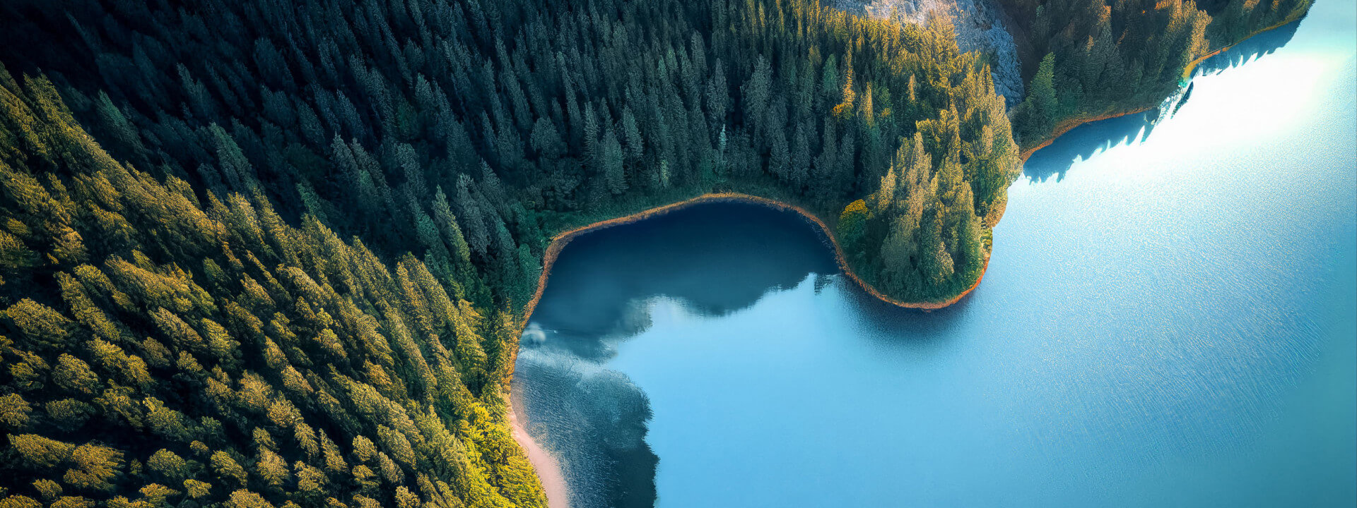 Rentrée solennelle OA2025 cover image